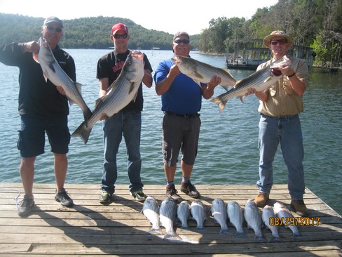 Nice Striped Bass
